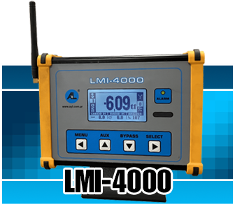 Indicador de momento de carga LMI-3000